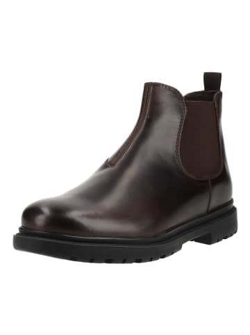 Geox Stiefelette ANDALO A - VIT.INGR. in Coffee
