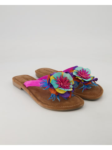 Lazamani Zehentrenner