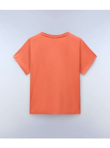 Napapijri T-Shirt "S-Eclair Logo Ss" in Multicolor