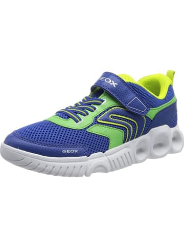 Geox Sneaker für Jungen in blau