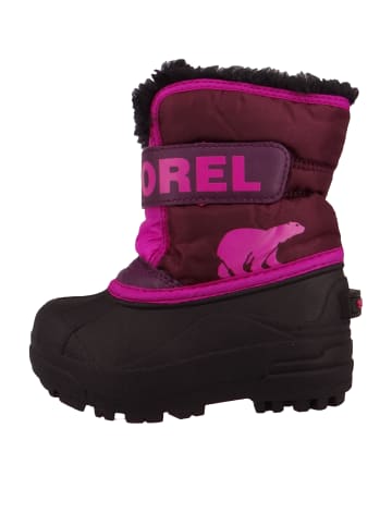 Sorel Stiefel violet