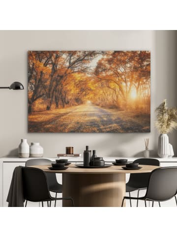 OnlyWow Akustibild Waldweg
