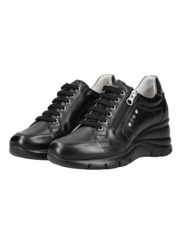 Nero Giardini Sneaker Schwarz