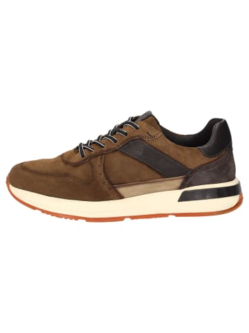 Sioux Sneaker Rojaro-719 in braun