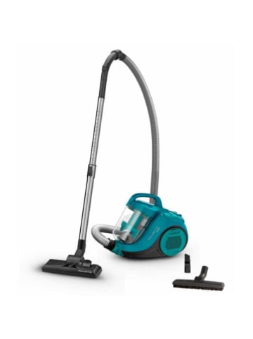 Rowenta Staubsauger RO2932EA in Schwarz