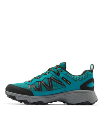 Columbia trekking Peakfreak in bunt