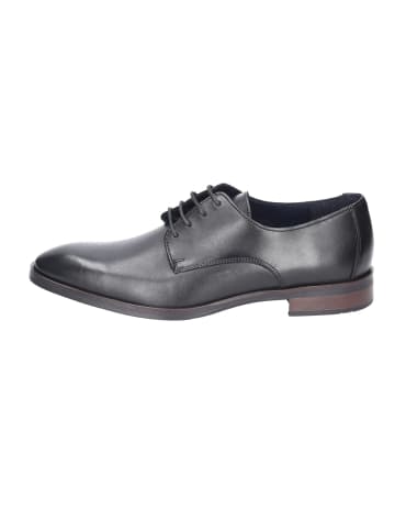 LLOYD Schnürschuhe Elegant in schwarz