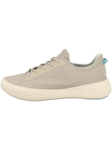 Palladium Sneaker low Pallanova Cvs in grau