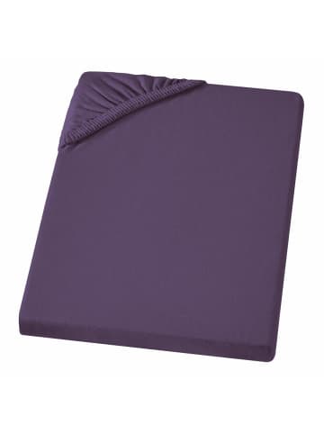 Carpe Sonno Edel Jersey Spannbettlaken in Violett