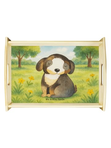 Mr. & Mrs. Panda tablett für bett Hund Entspannen Design ohne Sp... in Weiß