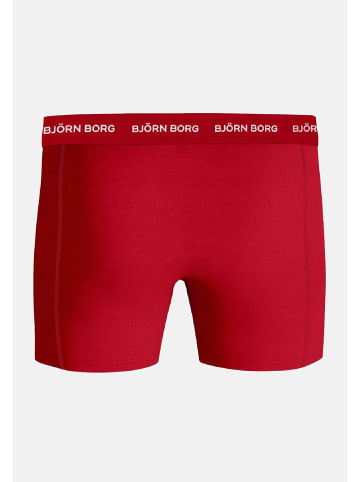 Björn Borg Björn Borg Boxershorts Solid Boxershorts 5er-Pack in multicolor