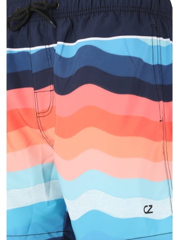 Cruz Boardshorts Wassim in Print 3476