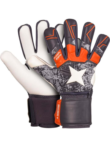 Derbystar Torwarthandschuh "Goalie V22" in Grau
