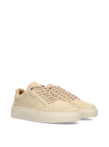 POELMAN Poelman ENZO Herren Sneaker