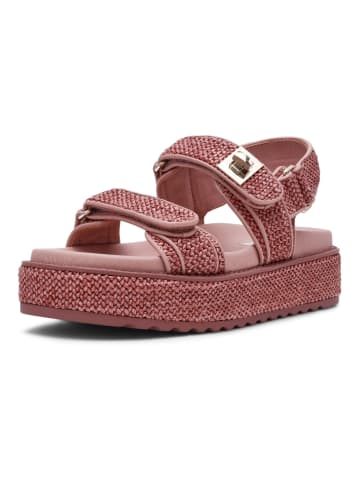 Steve Madden Sandalen Pink