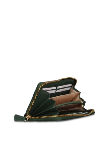Laura Biagiotti Geldbörse in GREEN