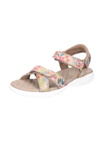 PANAMA JACK Schnürschuh in bunt