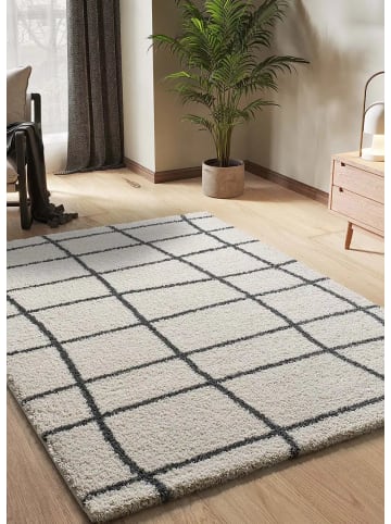 Atticgo Hochflor-Teppich ATLAS in weiß