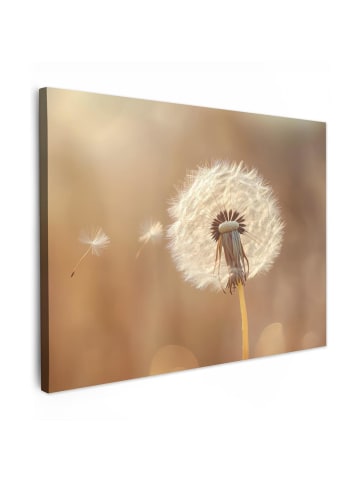 MuchoWow Leinwand bilder Nahaufnahme Flaum (BxH)