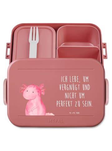 Mr. & Mrs. Panda MEPAL Bentobox Axolotl Niedlich Motiv mit Spruch in Rot Pastell