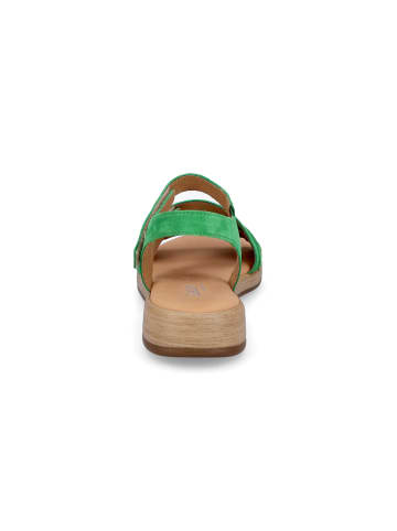 Gabor Comfort Sandale in Grün