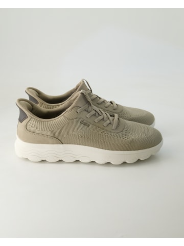 Geox Sportliche Schnürschuhe in Beige