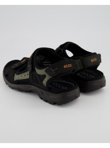 Ecco Sandalen in Schwarz