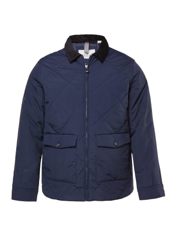 JP1880 Steppjacke in navy blau