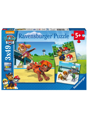 Ravensburger Team auf 4 Pfoten. Puzzle 3 x 49 Teile