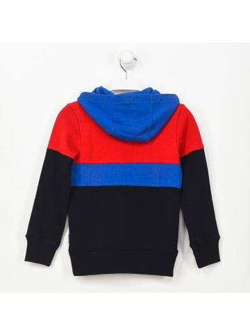 Napapijri Hoodie in Multicolored