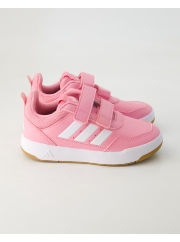 adidas Klettschuhe in Rosa