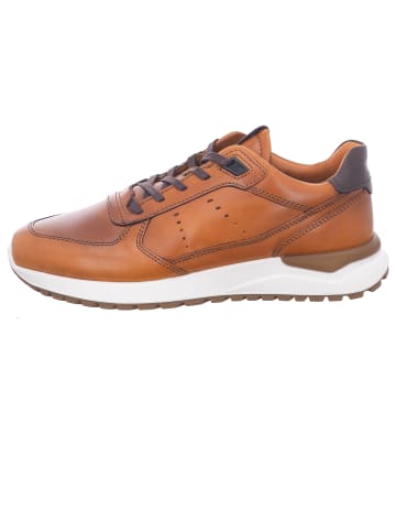 Ecco Schnürschuh in braun