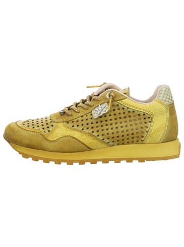 Cetti Sneaker Low in gelb