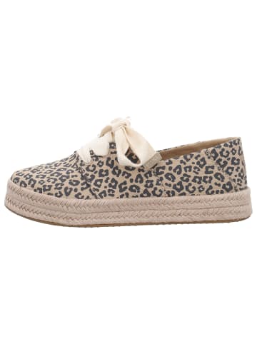 TOMS in braun