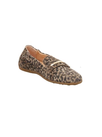 Floris van Bommel Slipper in beige