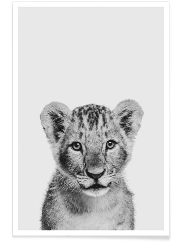 Juniqe Poster "Lion Cub II Classic" in Schwarz & Weiß