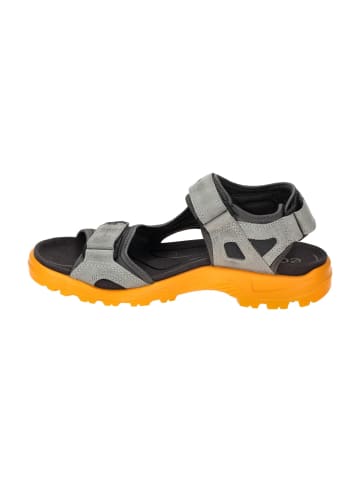 Ecco Trekkingsandalen in Grau