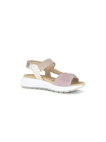 Gabor Plateau Sandalen in multicolour