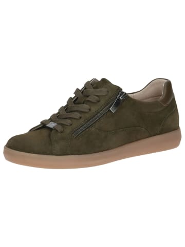 Caprice Sneaker in KHAKI SUEDE