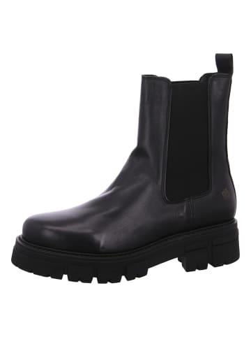 Apple of Eden Chelsea Boot  in Schwarz