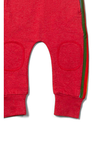 Little Green Radicals Bio-Comfy-Jogger in Rot