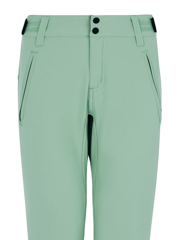 Protest " PRTRELOLE in Green Baygreen