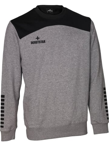 Derbystar Pullover "Sweatshirt Ultimo V23" in Grau