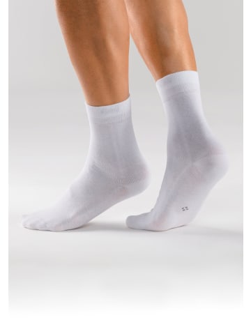 H.I.S Basicsocken in 10x weiß