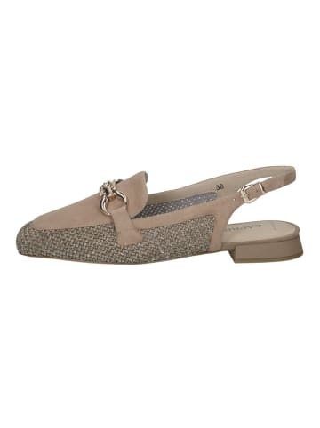 Caprice Pumps in Braun/Silber