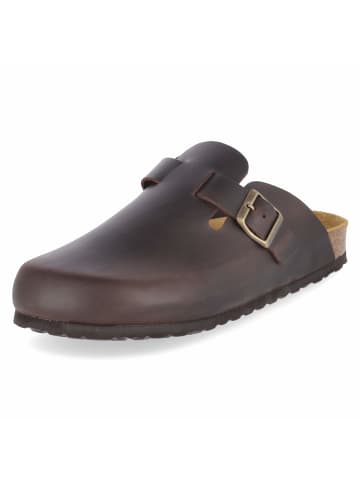 Beliano Pantolette in braun