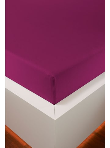 bellana jersey Spannbetttuch Nobel-Jersey Elasthan Spannbetttuch in beere