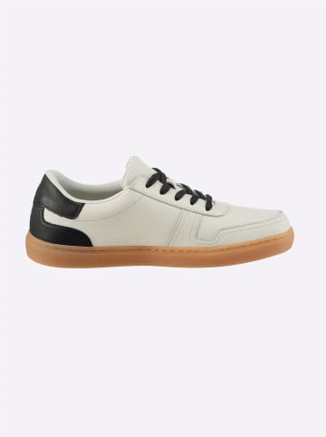 Heine Sneaker in creme-schwarz