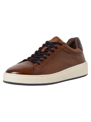 Marco Tozzi BY GUIDO MARIA KRETSCHMER Sneaker in COGNAC COMB