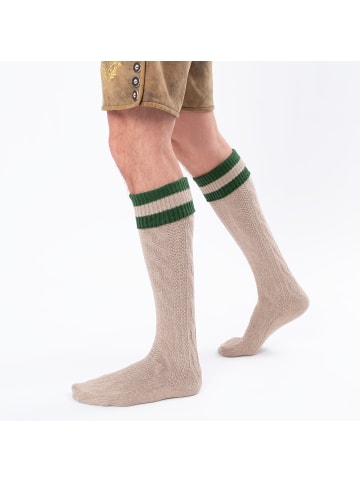 Occulto Lange Trachtensocken Wiesendistel in Hellbraun-Grün